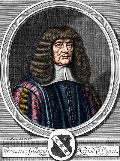 Francis Glisson