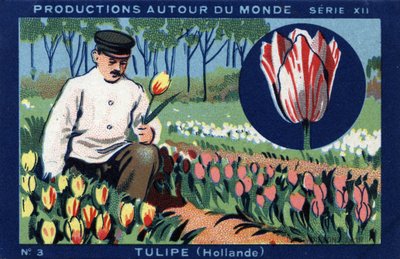 Dünya çapında yapımlar: Hollanda