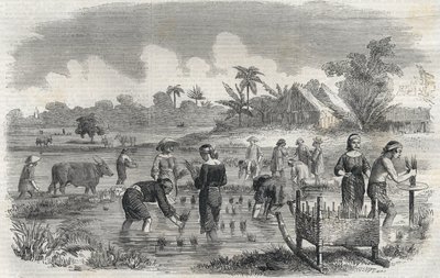 1864