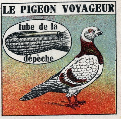 Postane: Gezgin Güvercin. 1925
