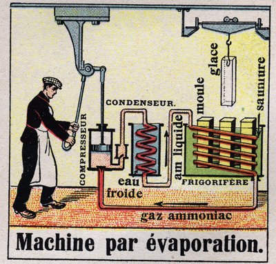 Soğuk endüstri: bir buharlaştırma makinesinin kesiti. 1925