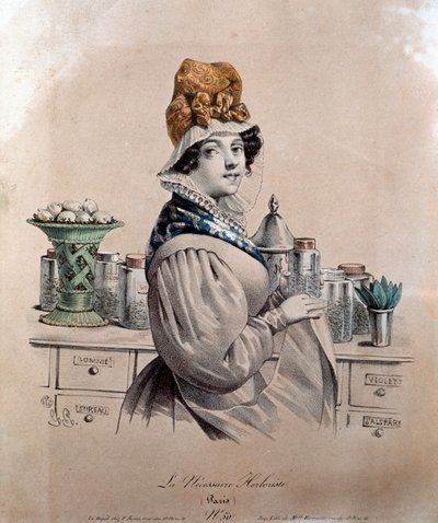 Herborist (gravür by Anonymous Anonymous