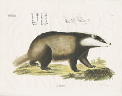  by Anstalt Arnz & Co.