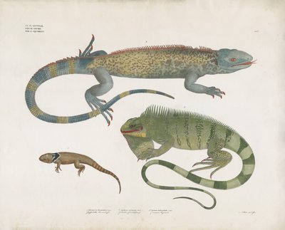  by Anstalt Arnz & Co.