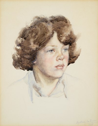 Hugh Boileau 7 yaşında by Anthea Durose