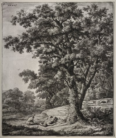 Ovid