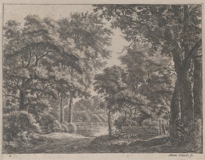 Kırpılmış Korular, 17. yüzyıl. by Anthonie Waterloo