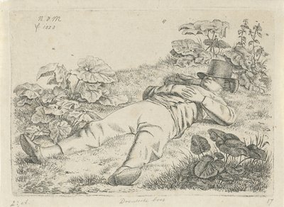 çimenlerde yatan adam Drentsche çiftçisi (nesne üzerindeki başlık) by Anthonie Willem Hendrik Nolthenius de Man