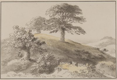 Sussex: St Marthas, Albury yakınlarında (kağıt üzerinde kalem, fırça, mürekkep ve tuvalet) by Anthony Devis