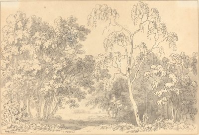 Ormanlık Peyzaj by Anthony Devis