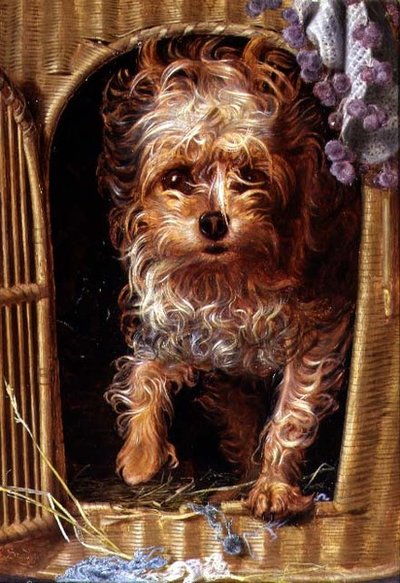 Darby, bir Yorkshire Teriyeri (panelde yağ) by Anthony Frederick Augustus Sandys
