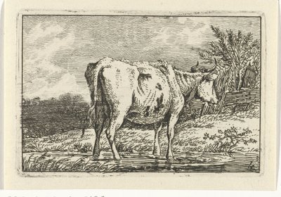 Bir su birikintisi içinde duran inek İnekler (dizi adı) by Anthony Oberman
