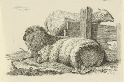 Yalan koyun ve koç İnek, Koyun ve Keçi Çalışmaları (dizi adı) by Anthony Oberman