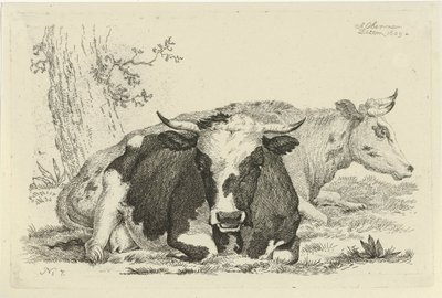 Bir ağacın önünde yatan iki inek İnek, Koyun ve Keçi Çalışmaları (dizi adı) by Anthony Oberman