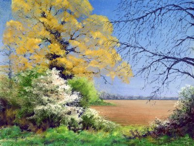 Karaçalı Kışı, 2003 by Anthony Rule