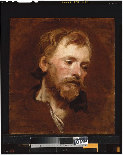 Sakallı bir adam, bir çalışma by Anthony van Dyck