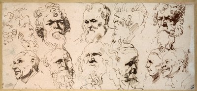 On bir kafa çalışması (kağıt üzerinde kalem ve kahverengi mürekkep) by Anthony van Dyck