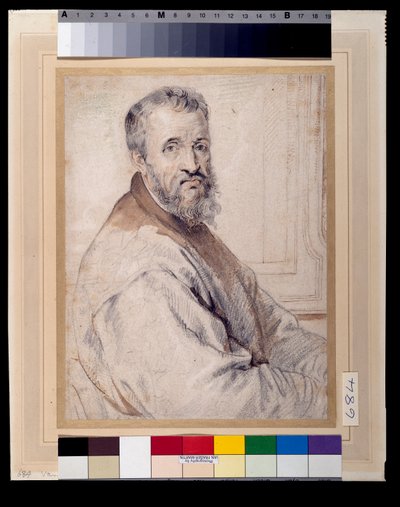 Michelangelo, Bugiardini veya Federico Zuccaro