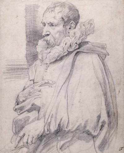 Genç Pieter Brueghel (beyaz kağıt üzerine siyah tebeşir) by Anthony van Dyck