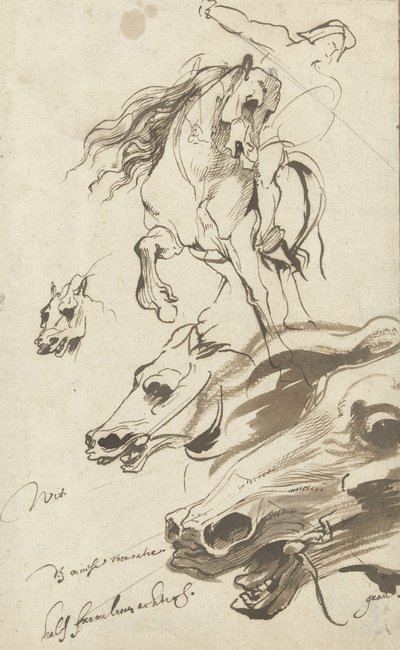 Study of Rider and head of a Horse, 1620-1 (pen and wc on paper) by Anthony van Dyck