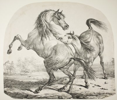 Vahşi Atlar Dövüşü, c.1820 by Antoine Charles Horace Vernet