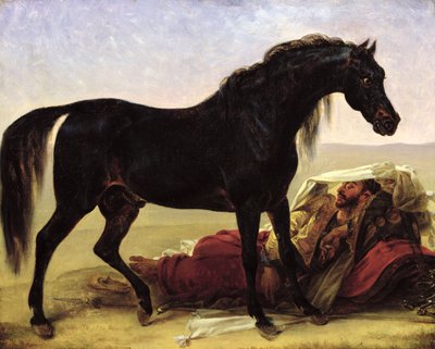 Bir Arap Atı by Antoine Jean Gros