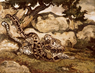 Kaplanı Öldüren Bir Python (kağıt üzerinde wc ve guaj) by Antoine Louis Barye