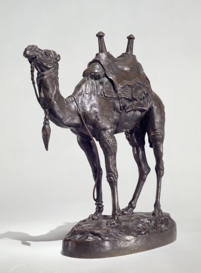 Koşumlu Mısır Dromedary (bronz) by Antoine Louis Barye
