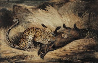 Leopar bir yaban domuzu yiyor. by Antoine Louis Barye