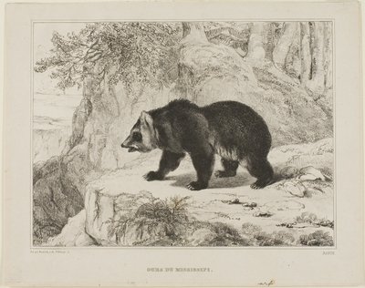Mississippi Ayı by Antoine Louis Barye