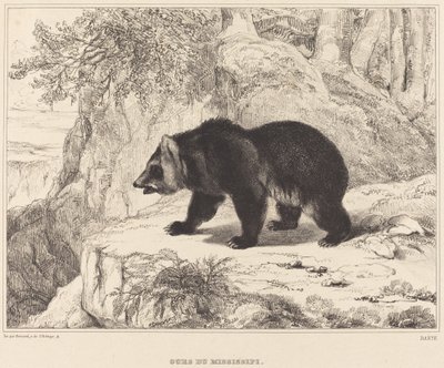 Mississippi Ayı, 1836. by Antoine Louis Barye