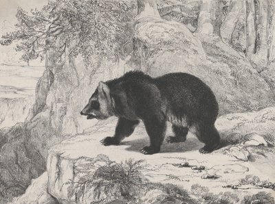 Mississippi Ayı, 1836. by Antoine Louis Barye