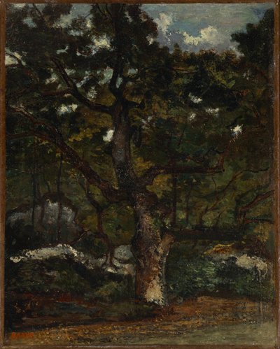 Fontainebleau Ormanı
