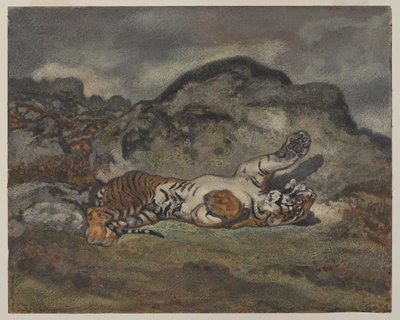 Rolling Tiger, c.1840 (kağıt üzerinde wc) by Antoine Louis Barye