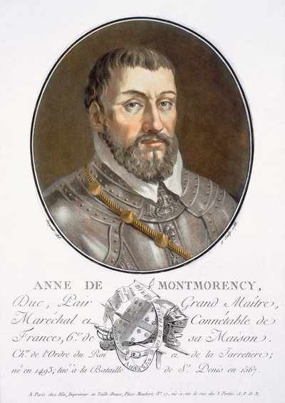 Anne de Montmorency, Fransa