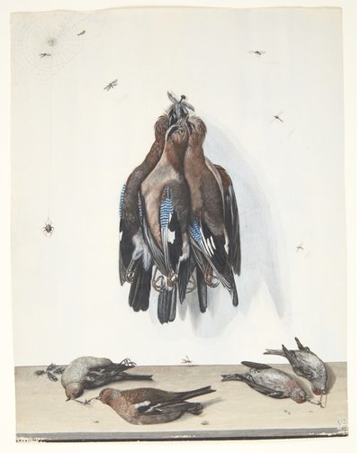 Kuşlar ile natürmort by Anton Ignaz Hamilton