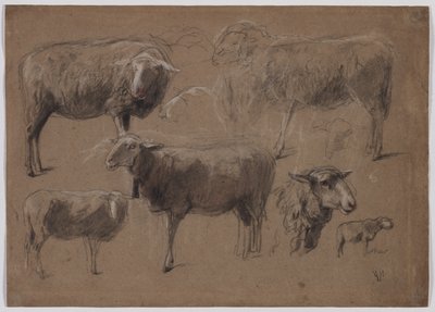 Koyun Çalışmaları by Anton Mauve