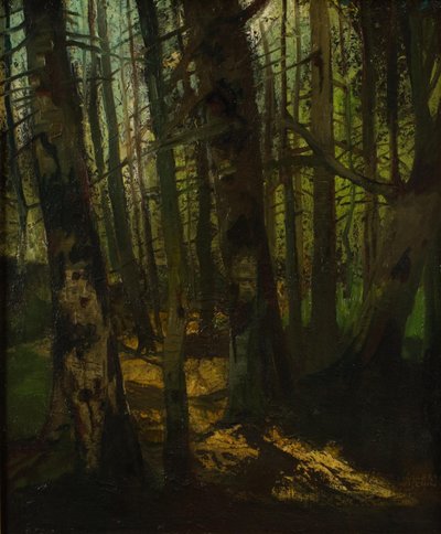  by Anton Müller Wischin