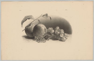 Elma, çilek, böğürtlen ve üzüm Çiçek ve Meyve Çalışmaları (...) 3. bölüm (dizi adı) by Anton Weiss