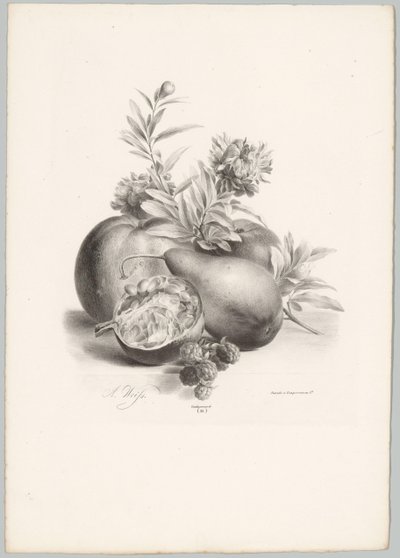Çiçekler, elmalar, armut, nar ve böğürtlen Çiçek ve Meyve Çalışmaları (...) 10. bölüm (dizi adı) by Anton Weiss