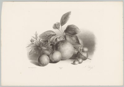 Çiçekler, nektarin ve fındık Çiçek ve Meyve Çalışmaları (...) 10. bölüm (dizi adı) by Anton Weiss