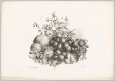 Çiçekler, şeftali, nektarin, üzüm ve böğürtlen Çiçek ve Meyve Çalışmaları (...) 10. bölüm (dizi adı) by Anton Weiss