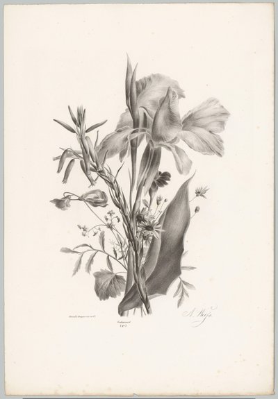 çeşitli çiçekler Çiçek ve Meyve Çalışmaları (...) 10. bölüm (dizi adı) by Anton Weiss