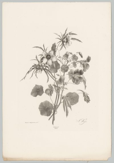 çeşitli çiçekler Çiçek ve Meyve Çalışmaları (...) 10. bölüm (dizi adı) by Anton Weiss