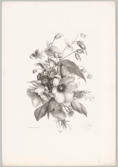 çeşitli çiçekler Çiçek ve Meyve Çalışmaları (...) 10. bölüm (dizi adı) by Anton Weiss
