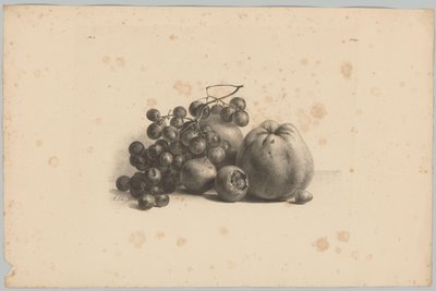 Üzüm ve elma Çiçek ve Meyve Çalışması (...) 3. bölüm (dizi adı) by Anton Weiss