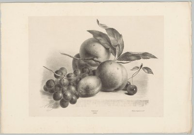 Üzüm, erik, şeftali ve kiraz Çiçek ve Meyve Çalışmaları (...) 10. bölüm (dizi adı) by Anton Weiss