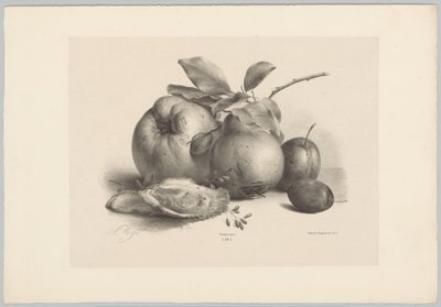 Meyve, erik ve istiridye Çiçek ve Meyve Çalışmaları (...) 10. bölüm (dizi adı) by Anton Weiss