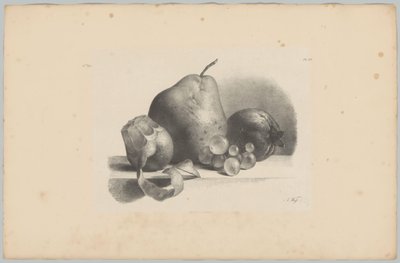 Armut, şeftali, üzüm ve kabuğu soyulmuş limon Çiçek ve Meyve Çalışmaları (...) 3. bölüm (dizi adı) by Anton Weiss