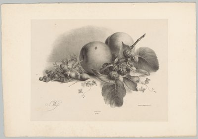 Şeftali, çilek, fındık ve böğürtlen Çiçek ve Meyve Çalışmaları (...) 10. bölüm (dizi adı) by Anton Weiss